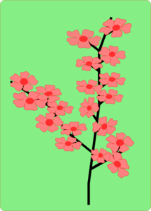 Sakura Blossoms On A Green Background Clip Art